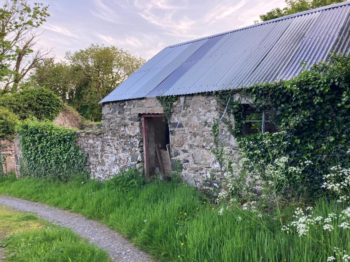 Hillhead Country Retreat Villa Castlewellan Dış mekan fotoğraf